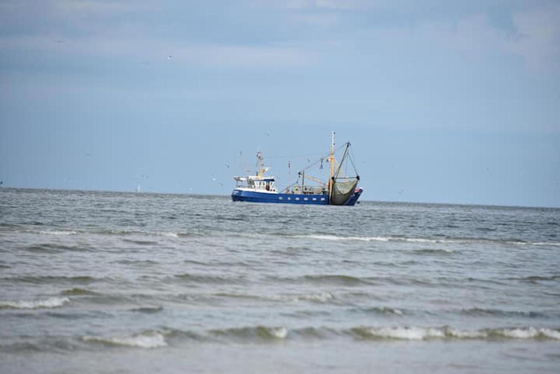 Chalet Zeester J38 Ameland Buren  Eksteriør billede